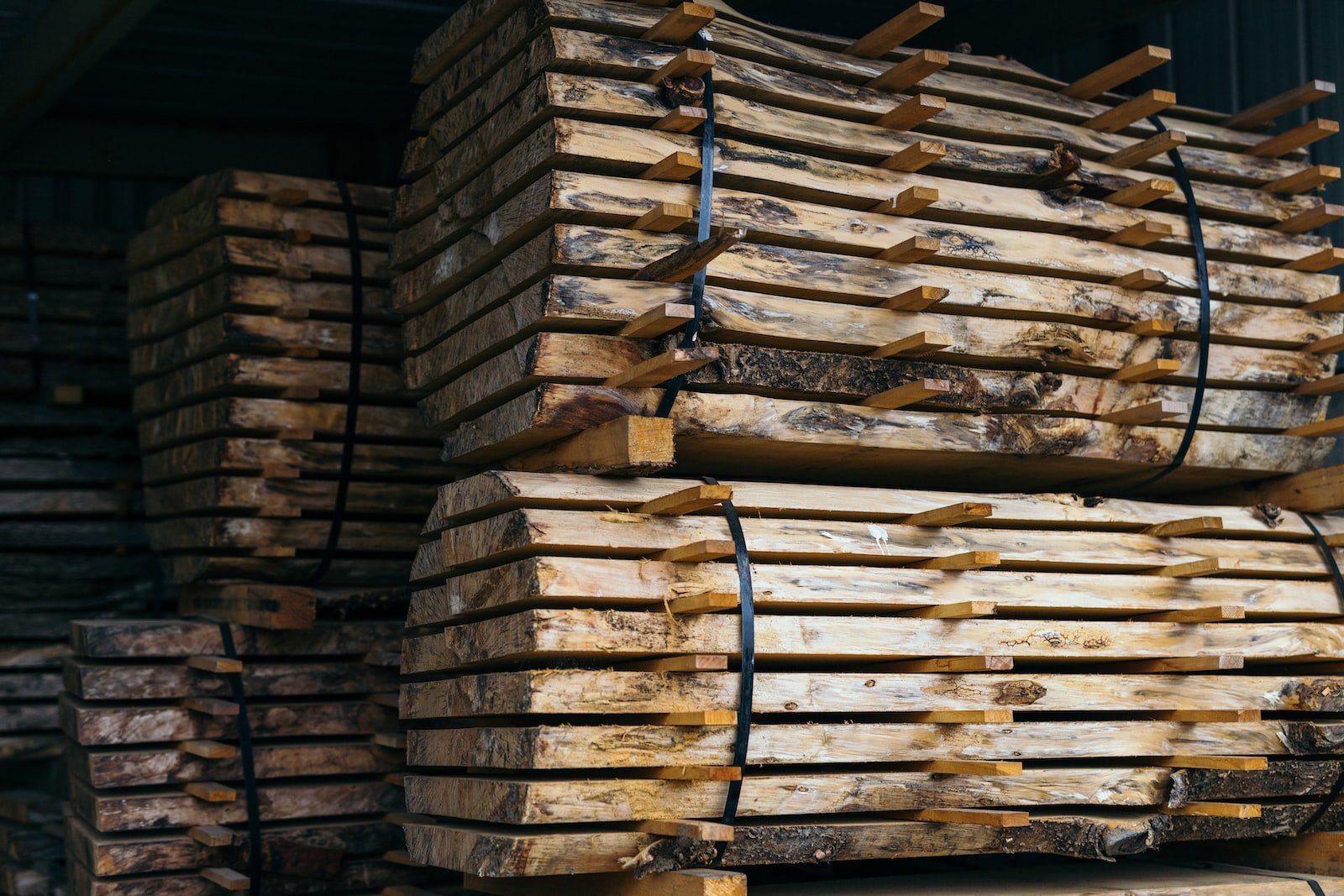 closeup photo of timber