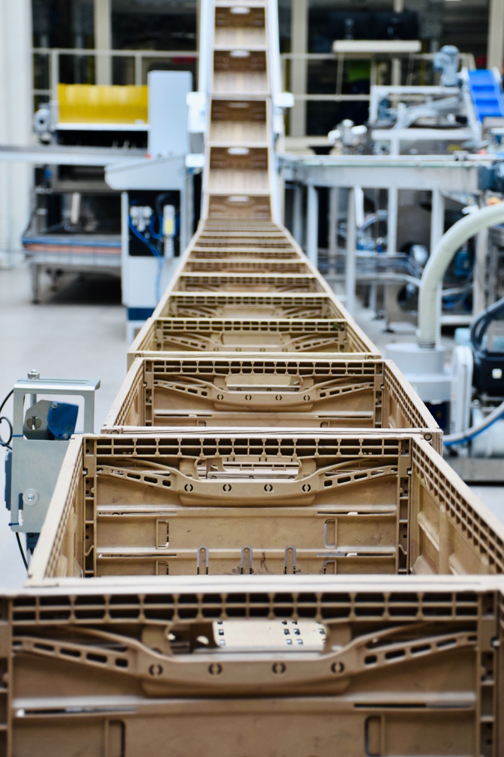 Inside an apple processing company in northern Italy